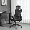 Ergonomic Office Desk Chair with wheels High Back Computer Task Chair Home Mesh Swivel Desk Chair with Adjustable Back Height & Flip up Arms & Lumbar