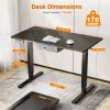Sweetcrispy Electric Standing Desk with Drawer Adjustable Desk Ergonomic Rising Desk Computer Workstation,55 x 24 Inches Black