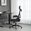 Ergonomic Office Desk Chair with wheels High Back Computer Task Chair Home Mesh Swivel Desk Chair with Adjustable Back Height & Flip up Arms & Lumbar