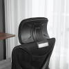 Ergonomic Office Desk Chair with wheels High Back Computer Task Chair Home Mesh Swivel Desk Chair with Adjustable Back Height & Flip up Arms & Lumbar