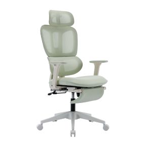 Ergonomic Mesh Office Chair with 2D Adjustable Armrest,High Back Desk Computer Chair,Ergonomic Office Chair with Wheels for Home & Office (Color: as Pic)