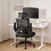 Ergonomic Office Desk Chair,Mesh High Back Computer Chair with Adjustable 3D Headrest & Lumbar Support & Flip-Up Arms Executive/Home/Study/Work Office