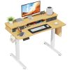 Sweetcrispy Home Office Height Adjustable Electric Standing Desk with Storage Shelf Double Drawer