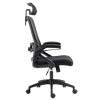 Ergonomic Office Desk Chair,Mesh High Back Computer Chair with Adjustable 3D Headrest & Lumbar Support & Flip-Up Arms Executive/Home/Study/Work Office