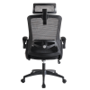 Ergonomic Office Desk Chair,Mesh High Back Computer Chair with Adjustable 3D Headrest & Lumbar Support & Flip-Up Arms Executive/Home/Study/Work Office