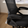 Ergonomic Office Desk Chair,Mesh High Back Computer Chair with Adjustable 3D Headrest & Lumbar Support & Flip-Up Arms Executive/Home/Study/Work Office