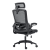 Ergonomic Office Desk Chair,Mesh High Back Computer Chair with Adjustable 3D Headrest & Lumbar Support & Flip-Up Arms Executive/Home/Study/Work Office