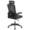 Ergonomic Office Desk Chair,Mesh High Back Computer Chair with Adjustable 3D Headrest & Lumbar Support & Flip-Up Arms Executive/Home/Study/Work Office