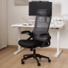 Ergonomic Office Desk Chair,Mesh High Back Computer Chair with Adjustable 3D Headrest & Lumbar Support & Flip-Up Arms Executive/Home/Study/Work Office